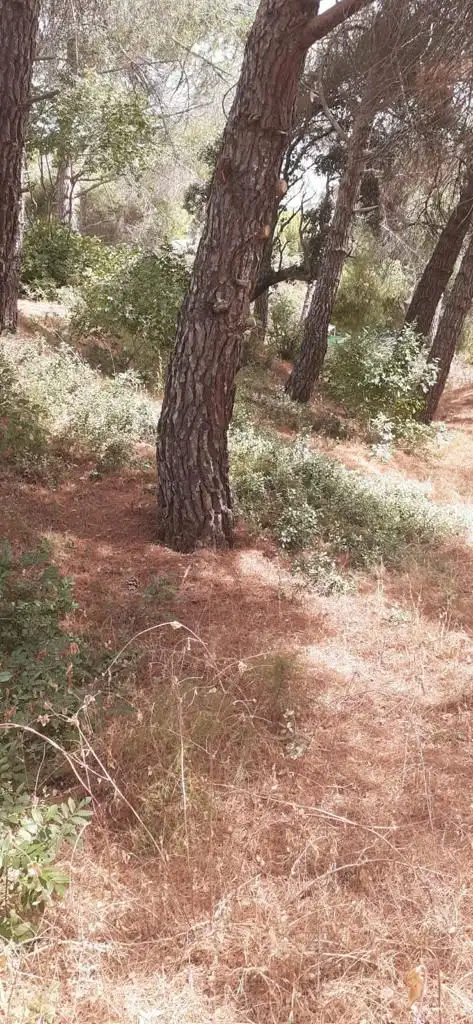 Residencial en venta en Pelayos de la Presa, Madrid