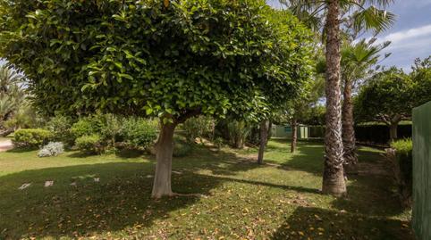 Foto 3 de Casa o xalet en venda a Valverde, Alicante