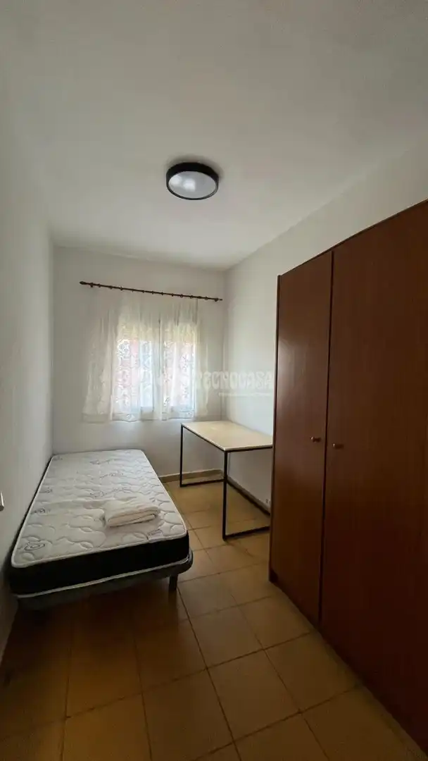 Piso con terraza en alquiler en El Pilar - La Estación, imagen 17