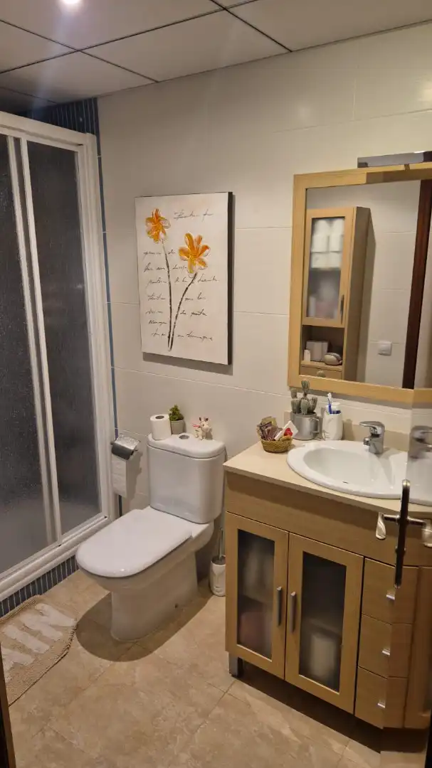 Bathroom of Flat for sale in Móra d'Ebre  with Air Conditioner, Heating and Storage room