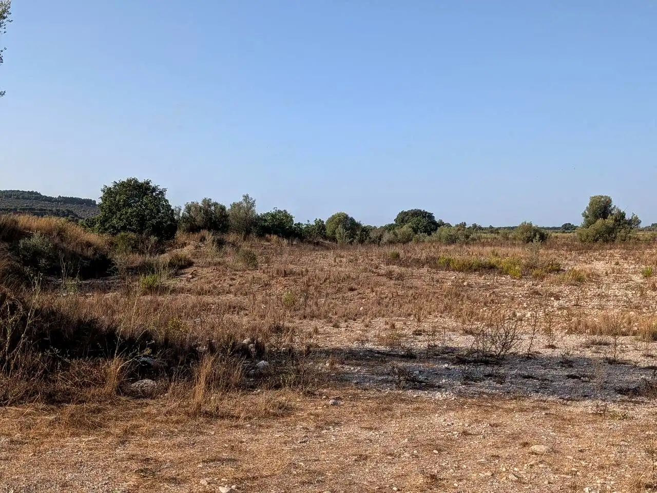 Terreny rústic en venda a El Pou Joa, imagen 2
