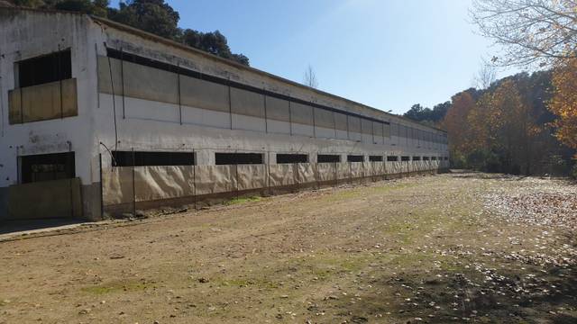 Nave industrial en Alquiler en Arriate