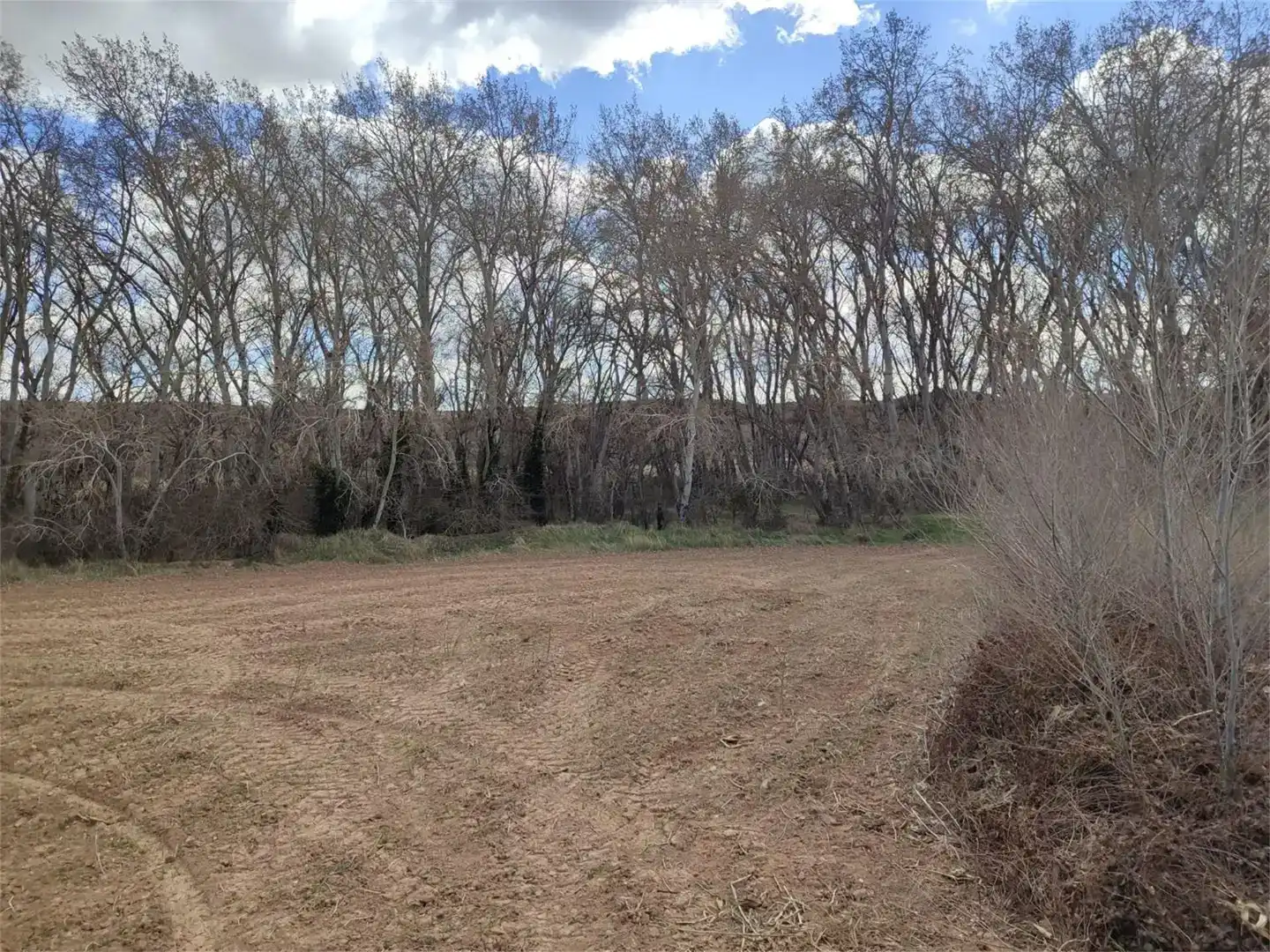 Land for sale in Botorrita