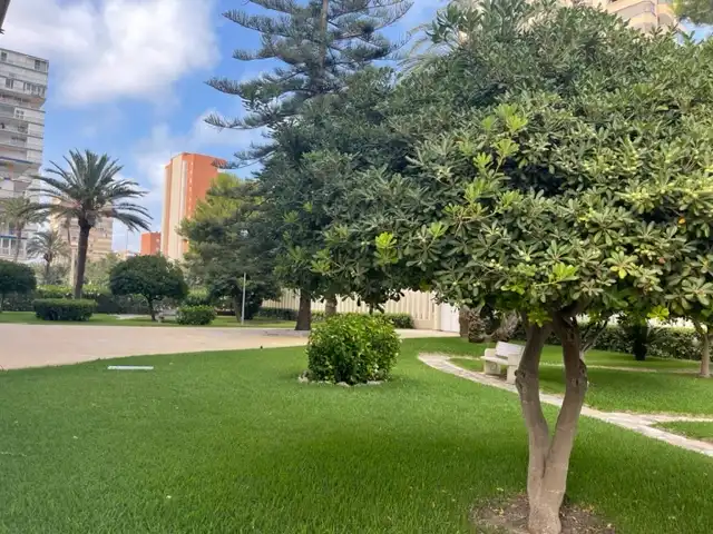 Piso con ascensor en alquiler en Avinguda de la Costa Blanca, imagen 27
