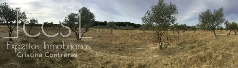 Casa rústica en venda a Almonte ciudad, imagen 17