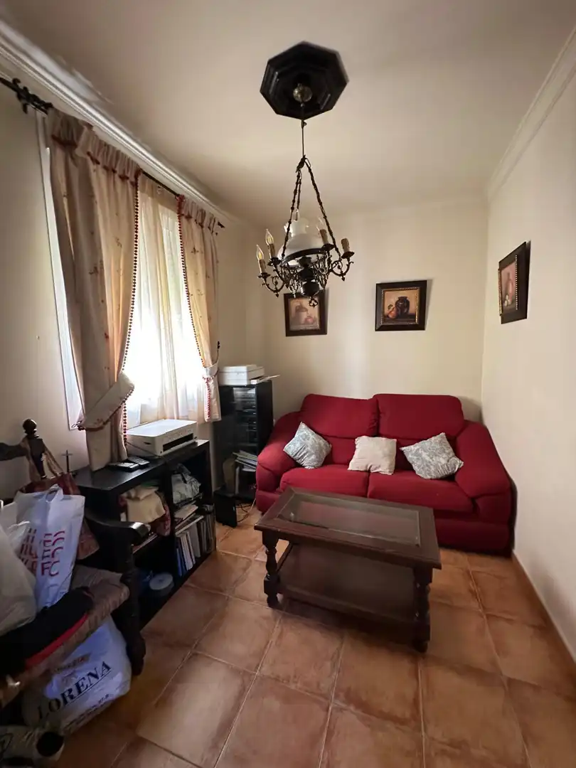 Sala d'estar de Casa o xalet en venda en Marchena