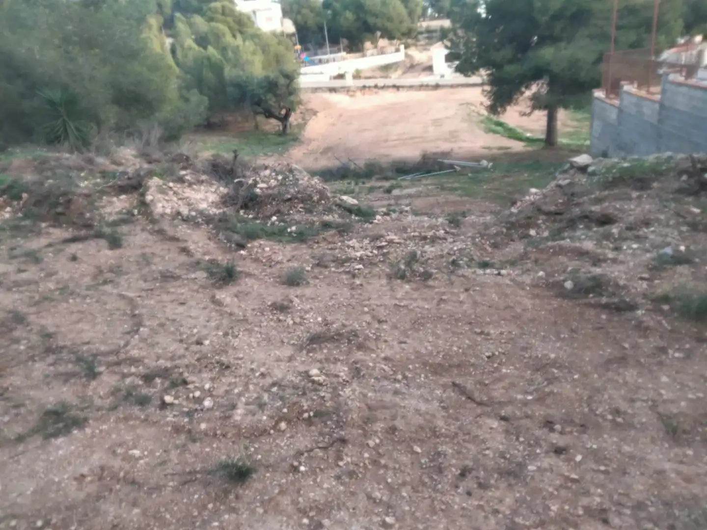 Terreno residencial en venta en Casinos, imagen 3