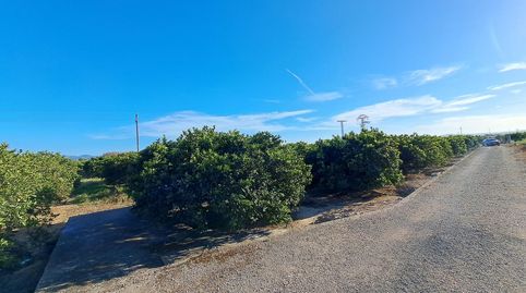 Foto 4 de Terreno en venta en Urbanitzacions i Pedanies Nord, Alzira