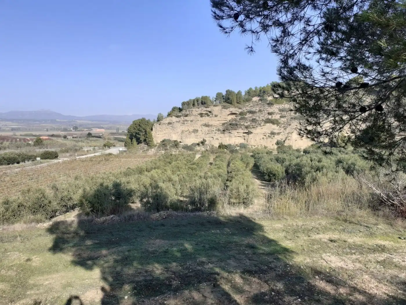 Finca rústica en venda en Ginestar
