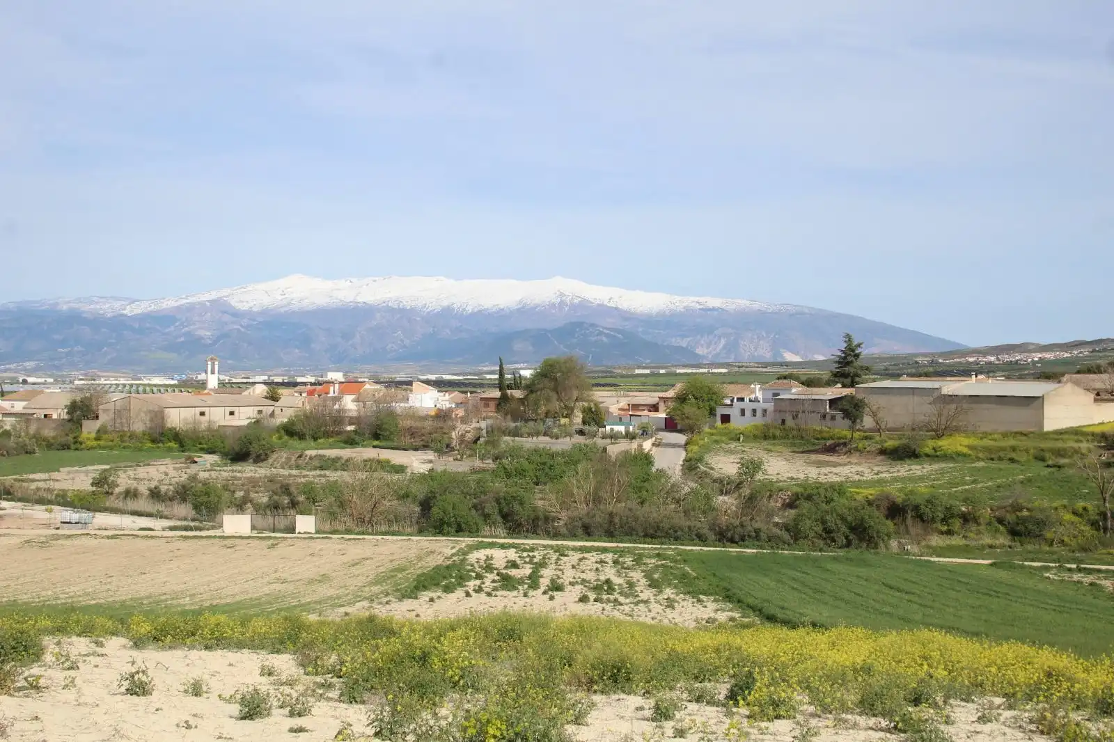 Terreno rústico en venta en Ventas de Huelma, imagen 2