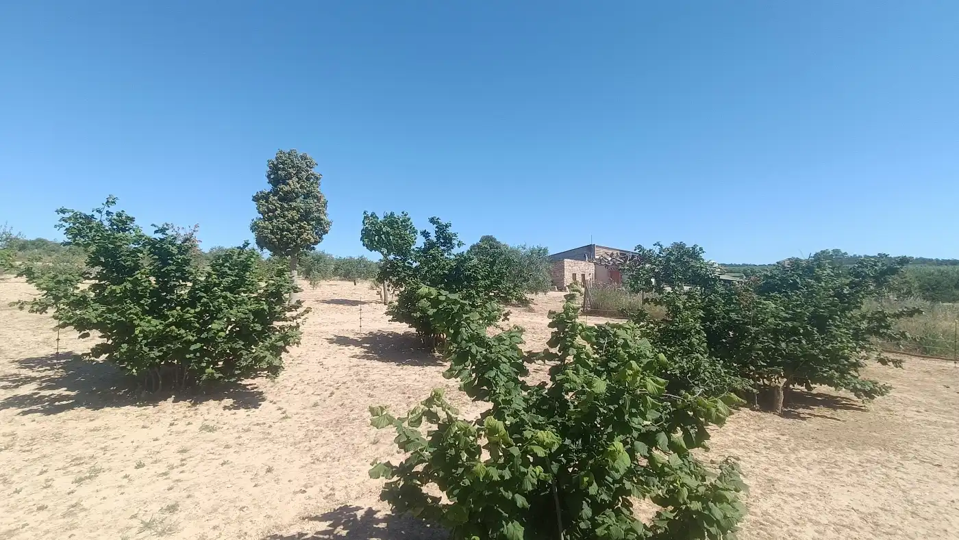 Nau industrial en venda en Marçà