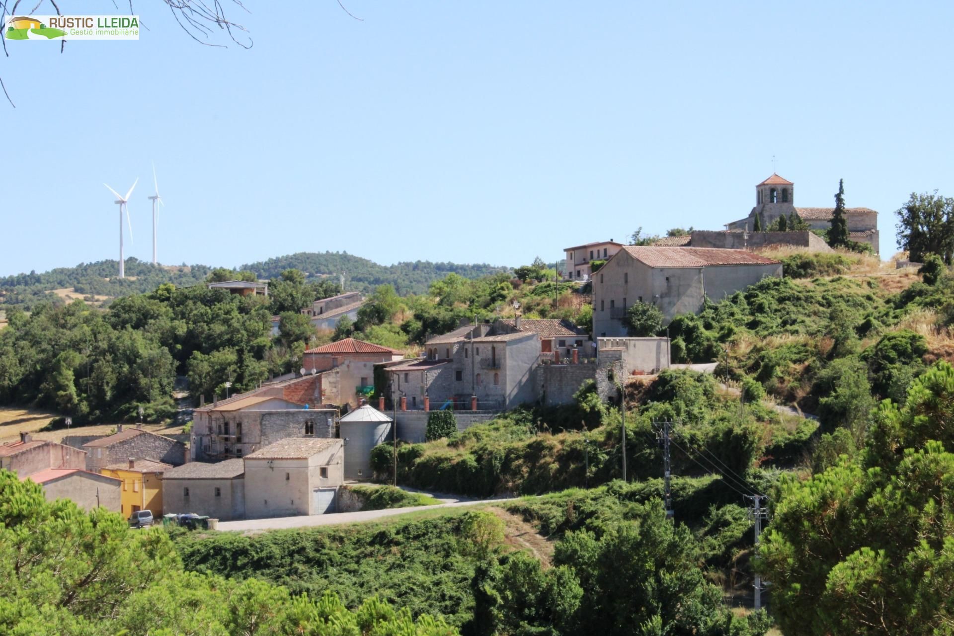 Casa o xalet en venda a Montmaneu
