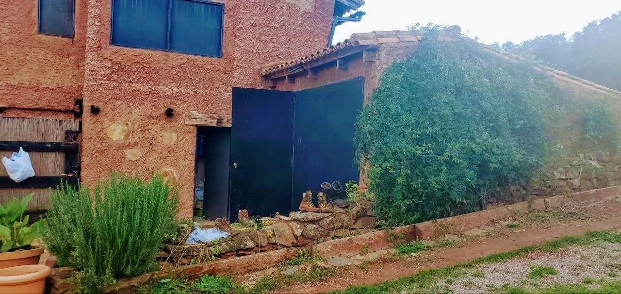 Exterior view of Country house for sale in San Nicolás del Puerto