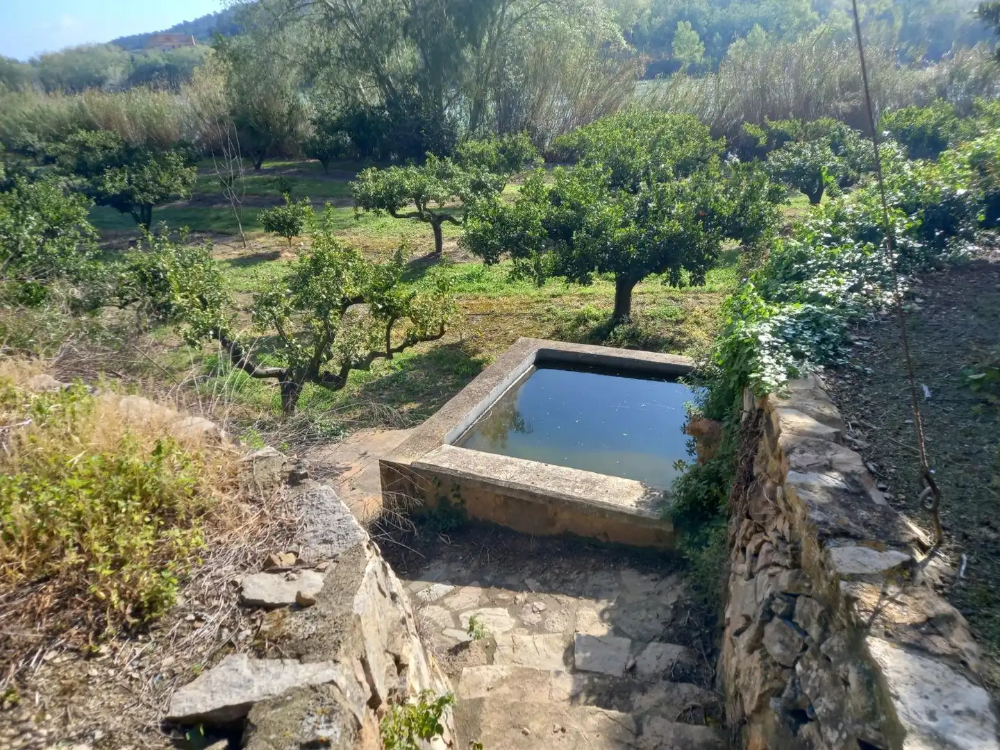 Terreny rústic en venda a Miravet, imagen 17