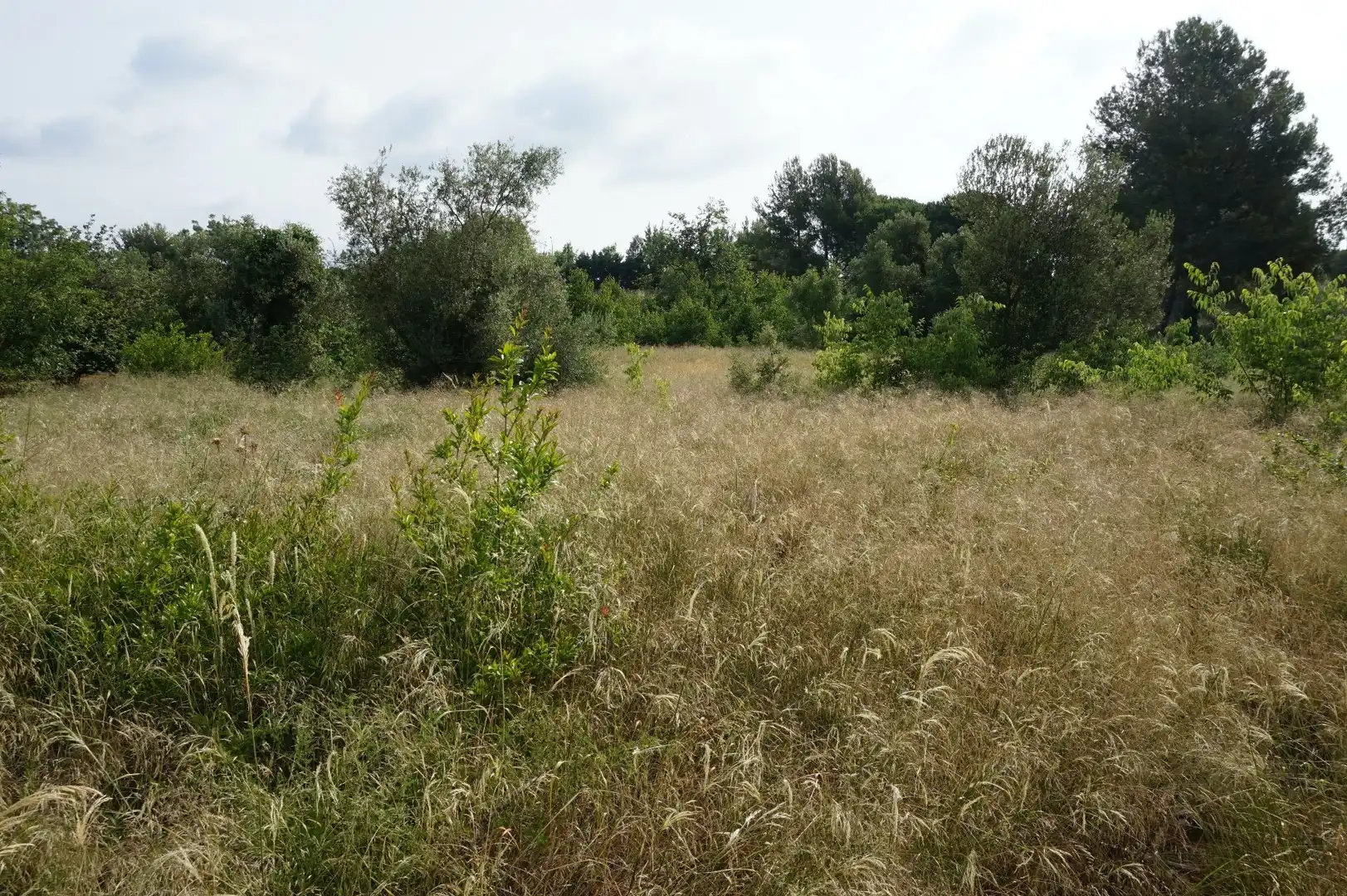 Maison rustique à vendre à Les Borges del Camp, imagen 6