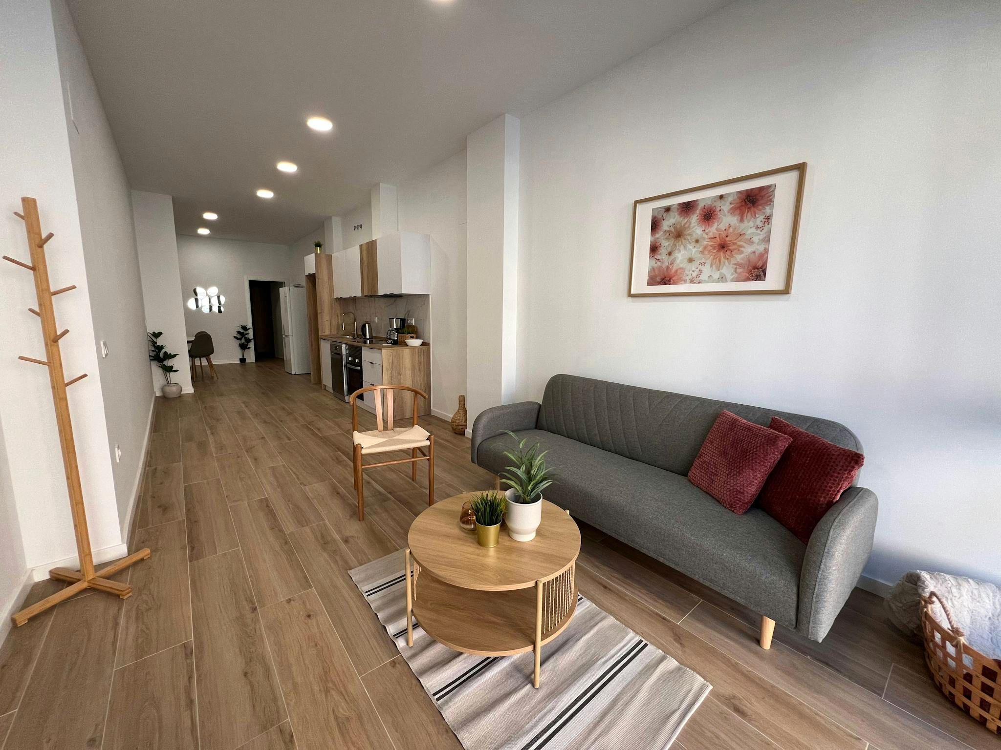 Living room of Flat to rent in  Valencia Capital  with Furnished, Washing machine and TV