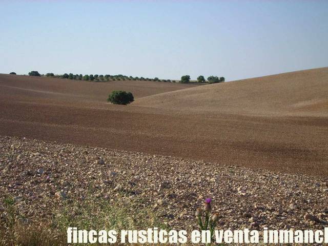 Terreno en Venta en La Almarcha