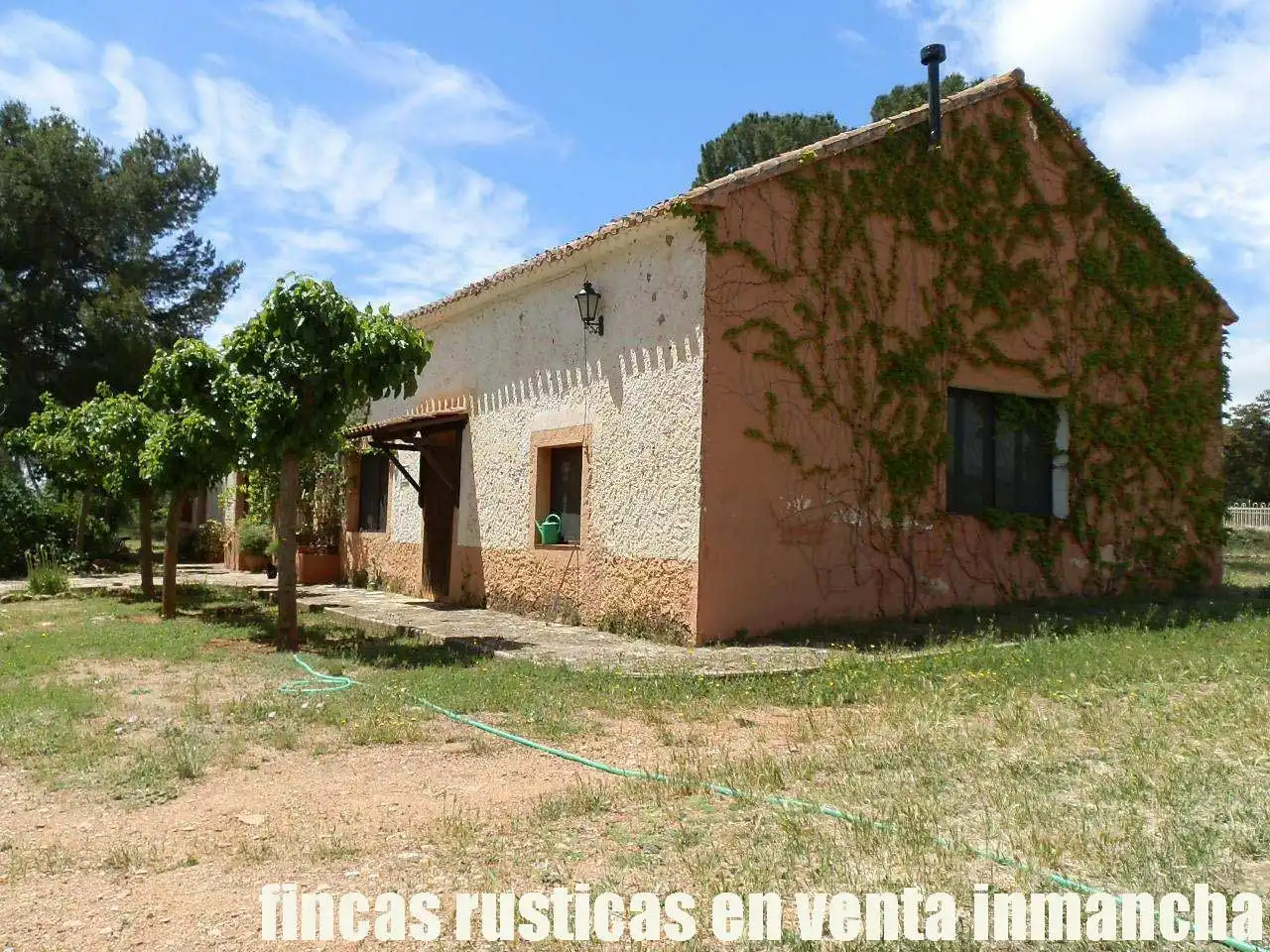Terreni e lotti in vendita a Elche de la Sierra, imagen 5