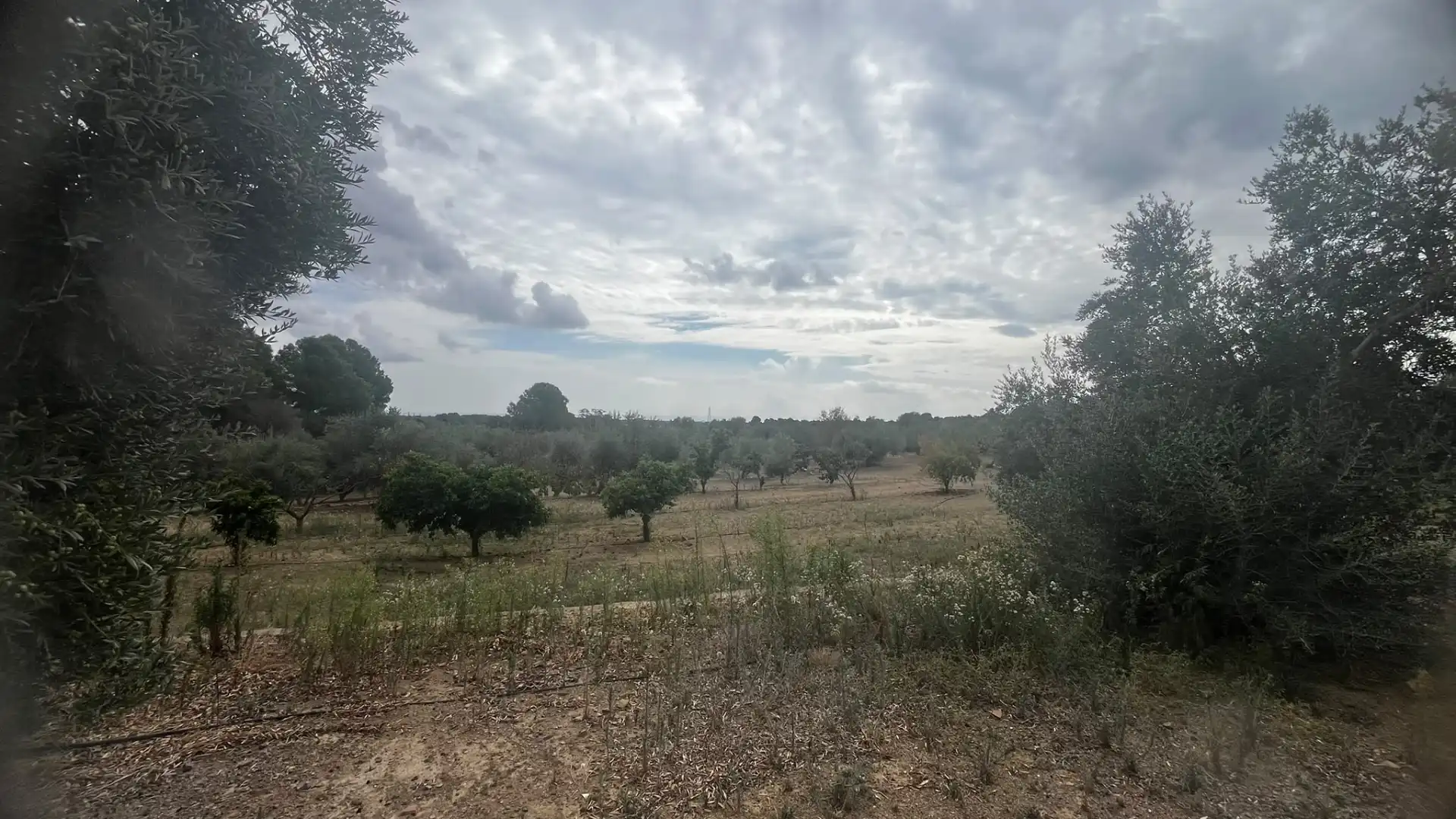 Terreno rustico in vendita a Carrer de Sant Abdó i Sant Senén, imagen 25