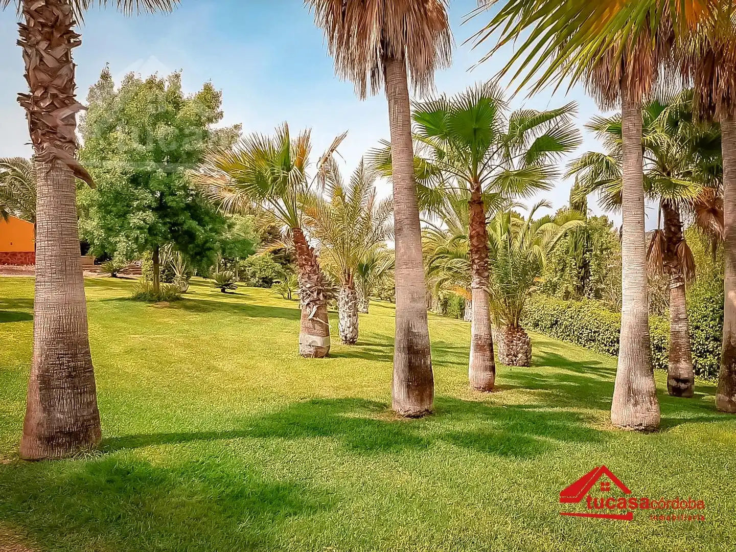 Jardín de Finca rústica en venta en Montoro con Jardín privado y Parquet