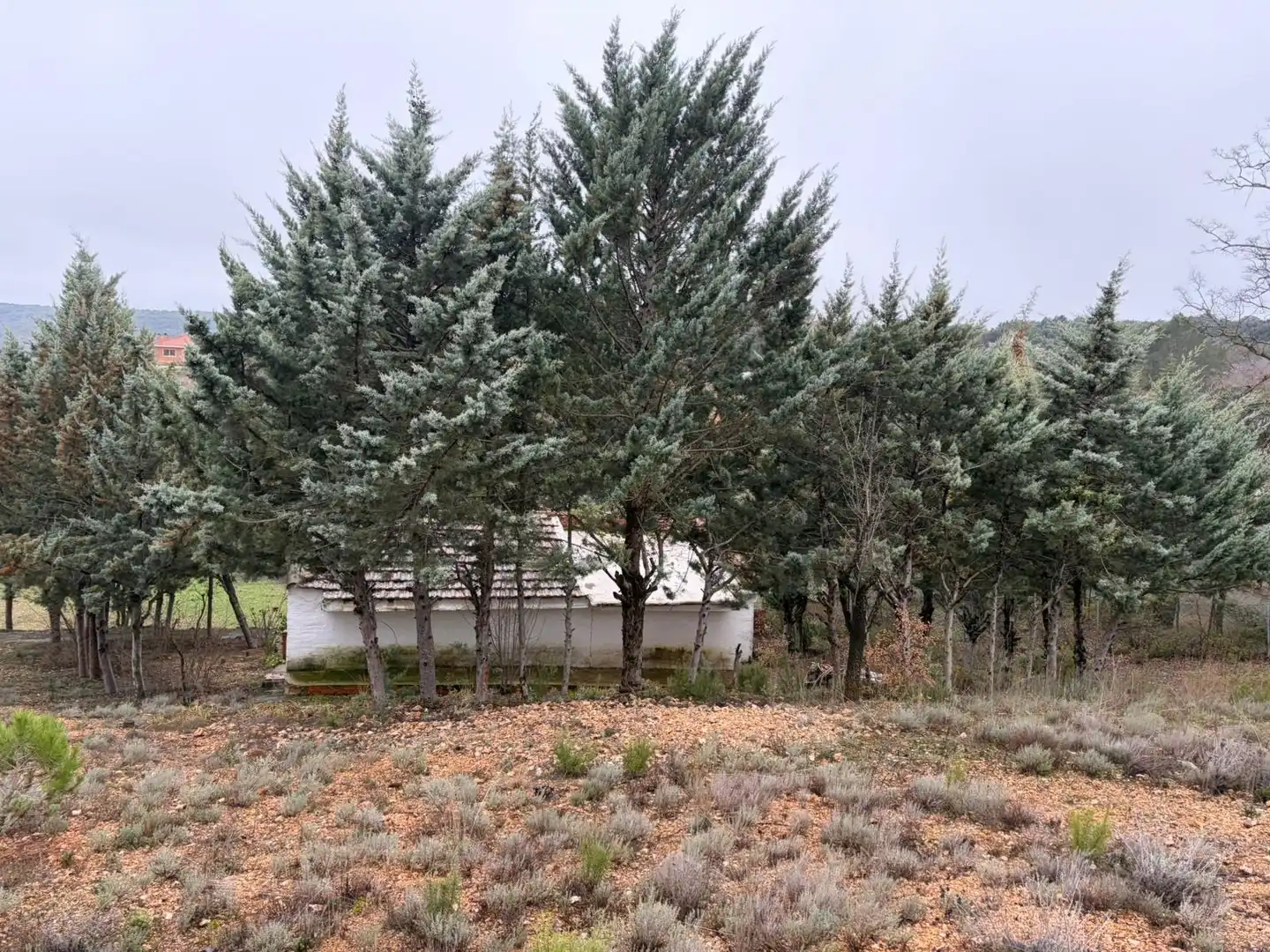 Residencial en venta en Loranca de Tajuña