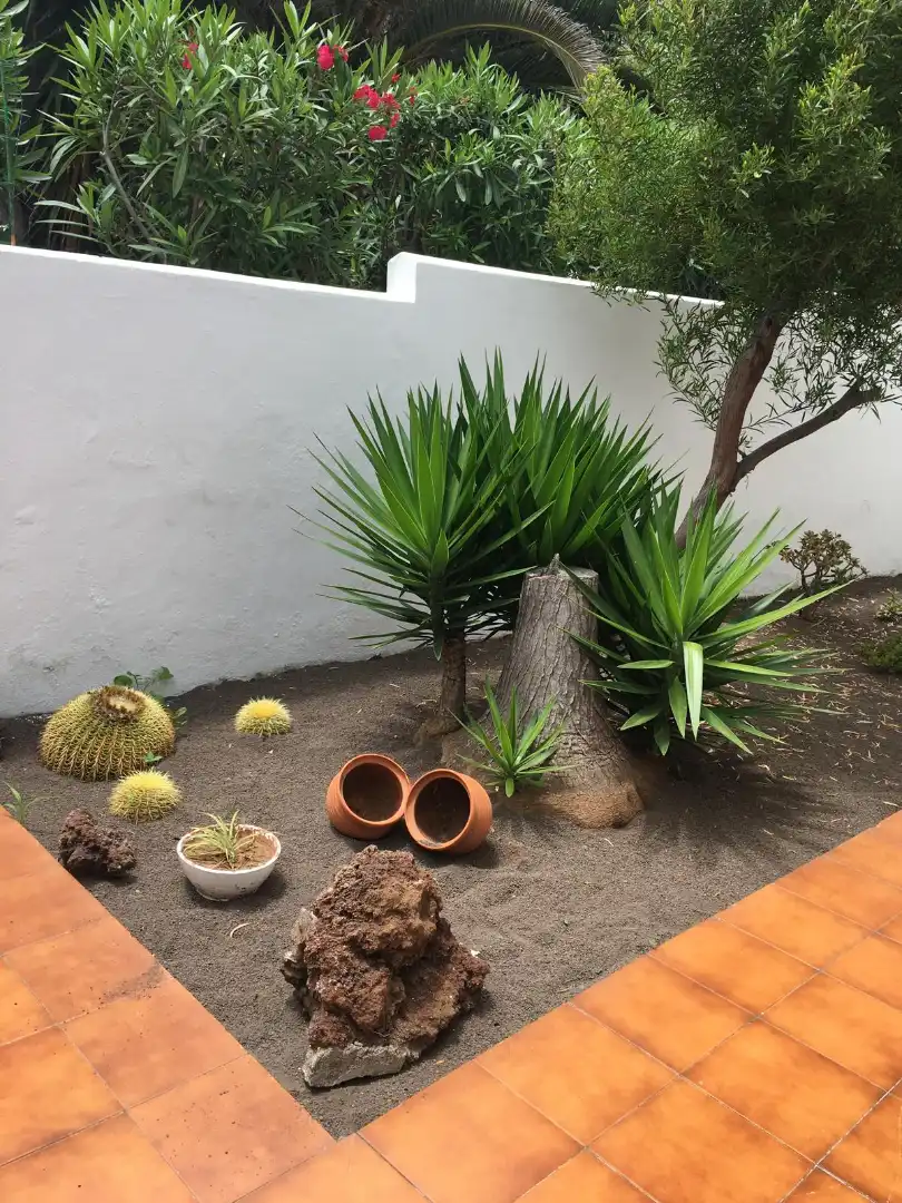 Garden of Flat for rent in Santa Cruz de Tenerife  with Terrace, Furnished and Oven