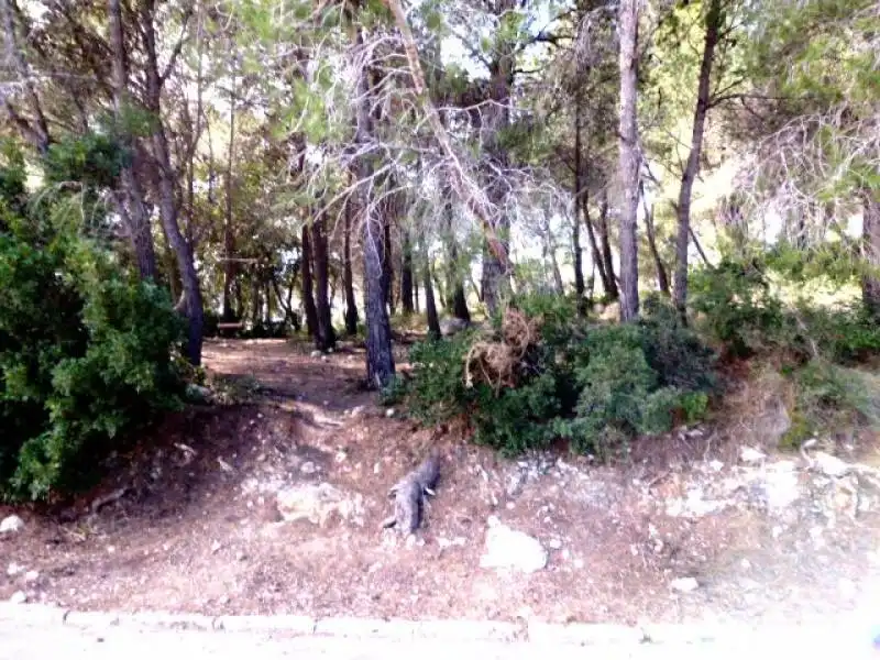 Terrenys i solars en venda a Nonaspe
