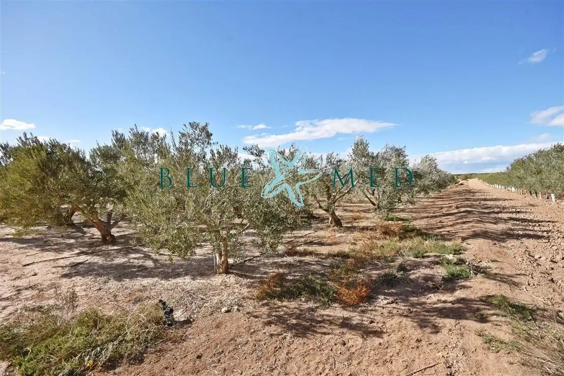 Casa o chalet en venta en Alhama de Murcia con Aire acondicionado, Calefacción y Jardín privado