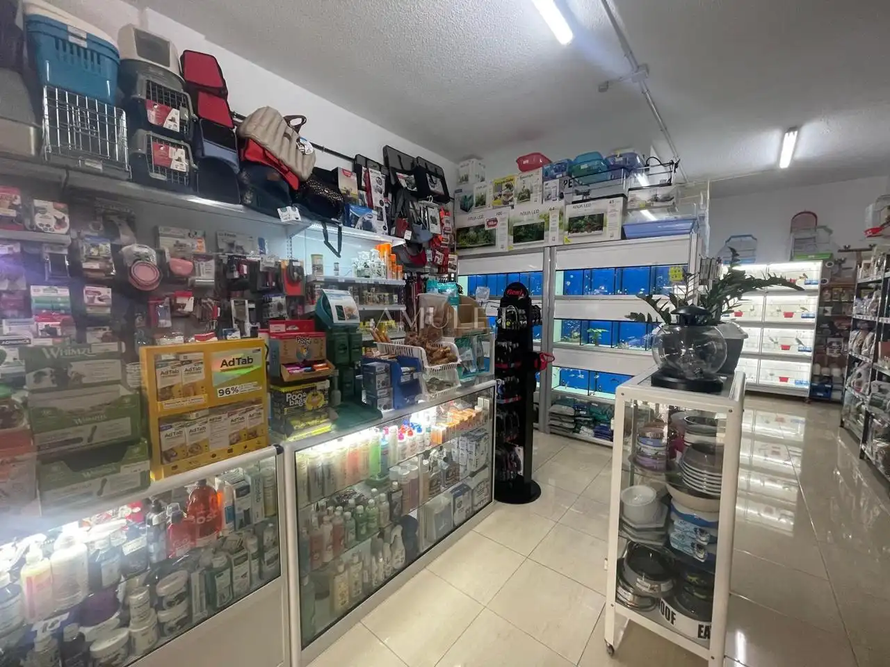 Locale commerciale in cessione a Playa de San Juan, imagen 5