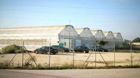 Photo 2 of Land for sale in Polígono 87 Paraje 10 Baya Baja, Las Bayas, Elche / Elx