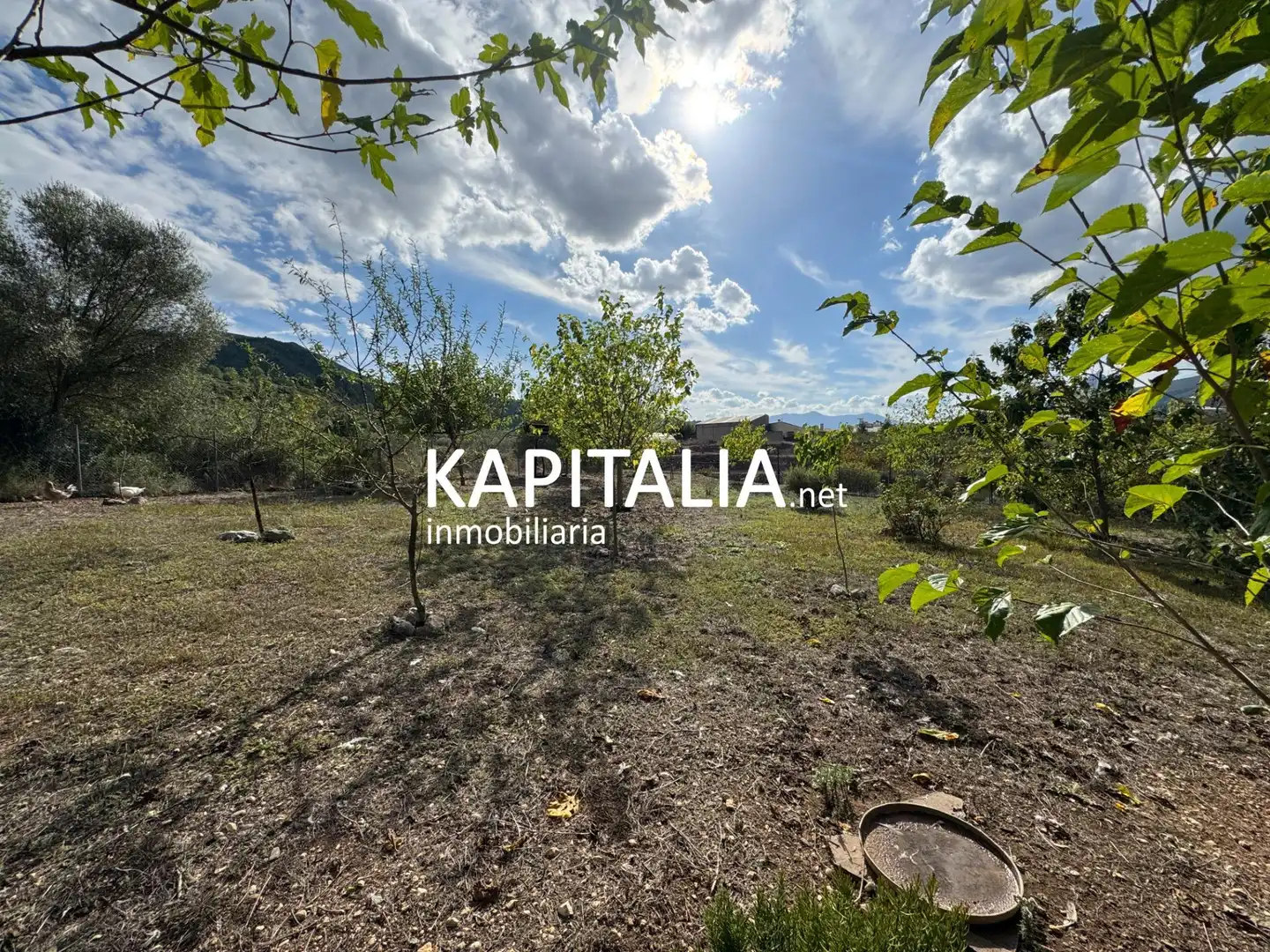 House for sale in L'Orxa / Lorcha, imagen 40