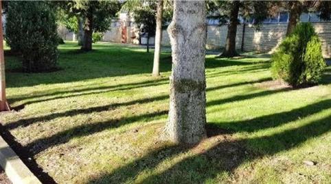 Foto 3 de Oficina de alquiler en Camino de la Raya, Oteruelo, León Capital