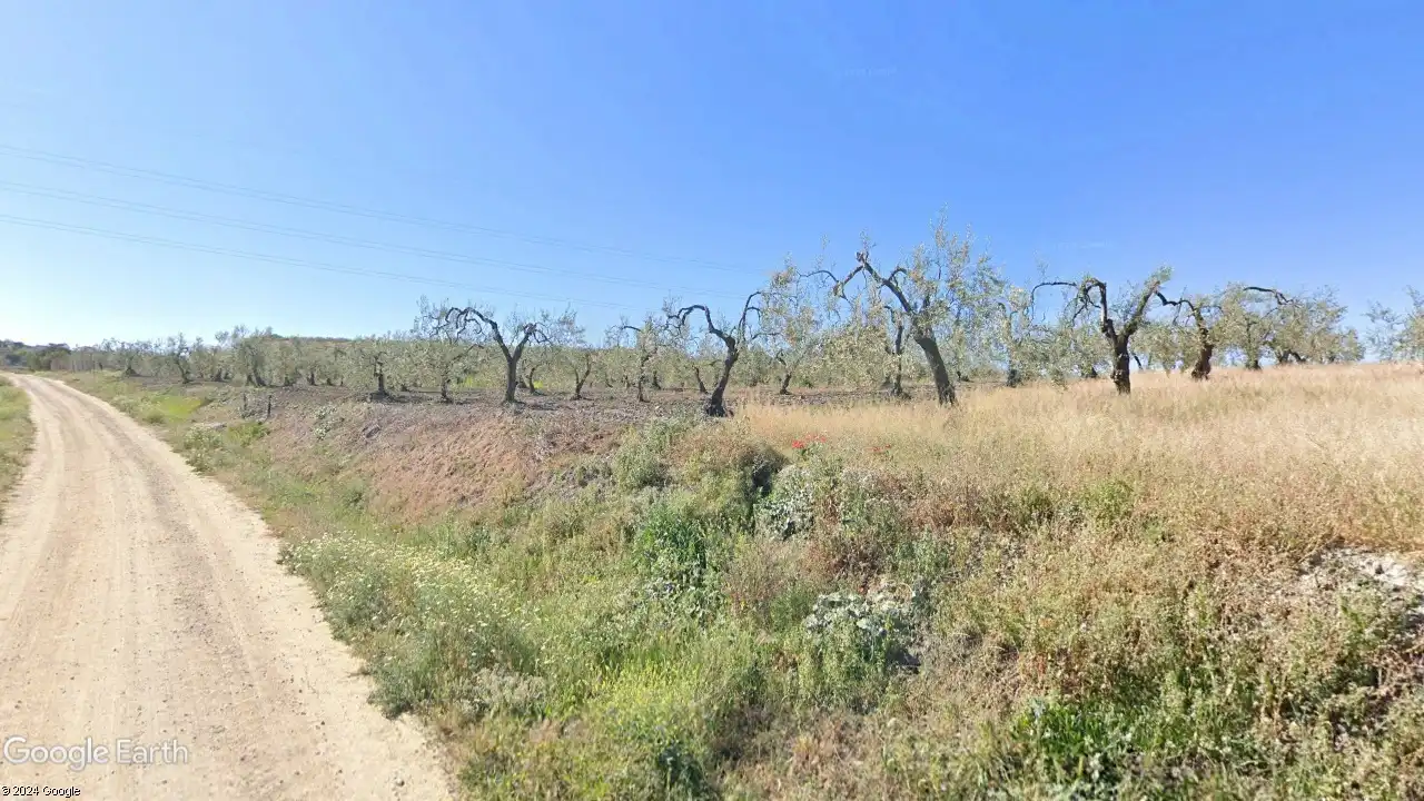 Rustikales Grundstück zum Verkauf in Albaida del Aljarafe, imagen 4