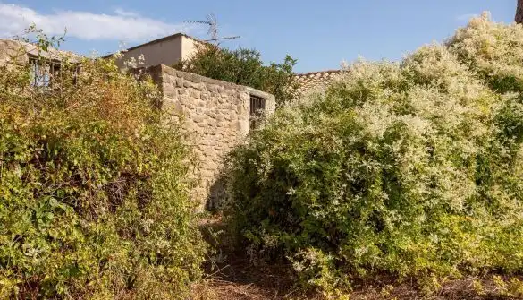 Casa en venta en Calle Mayor, imagen 72