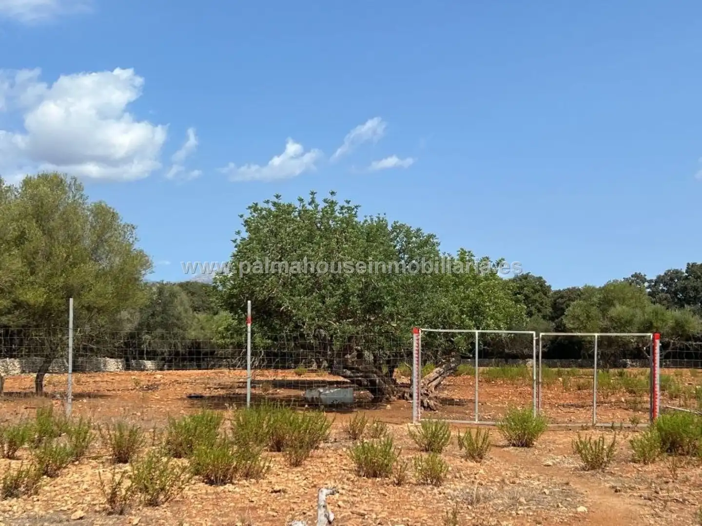 Finca rústica en venta en Llubí con Terraza y Piscina