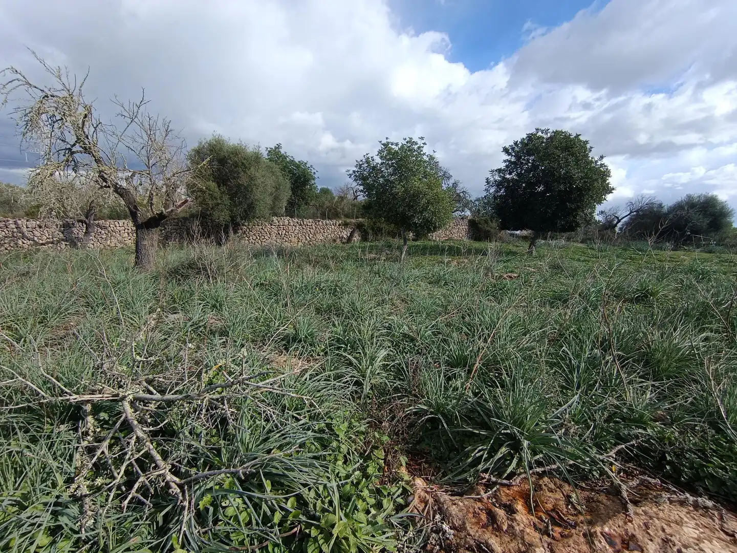 Terreno rustico in vendita a Camino Camí des Rafalet, imagen 9