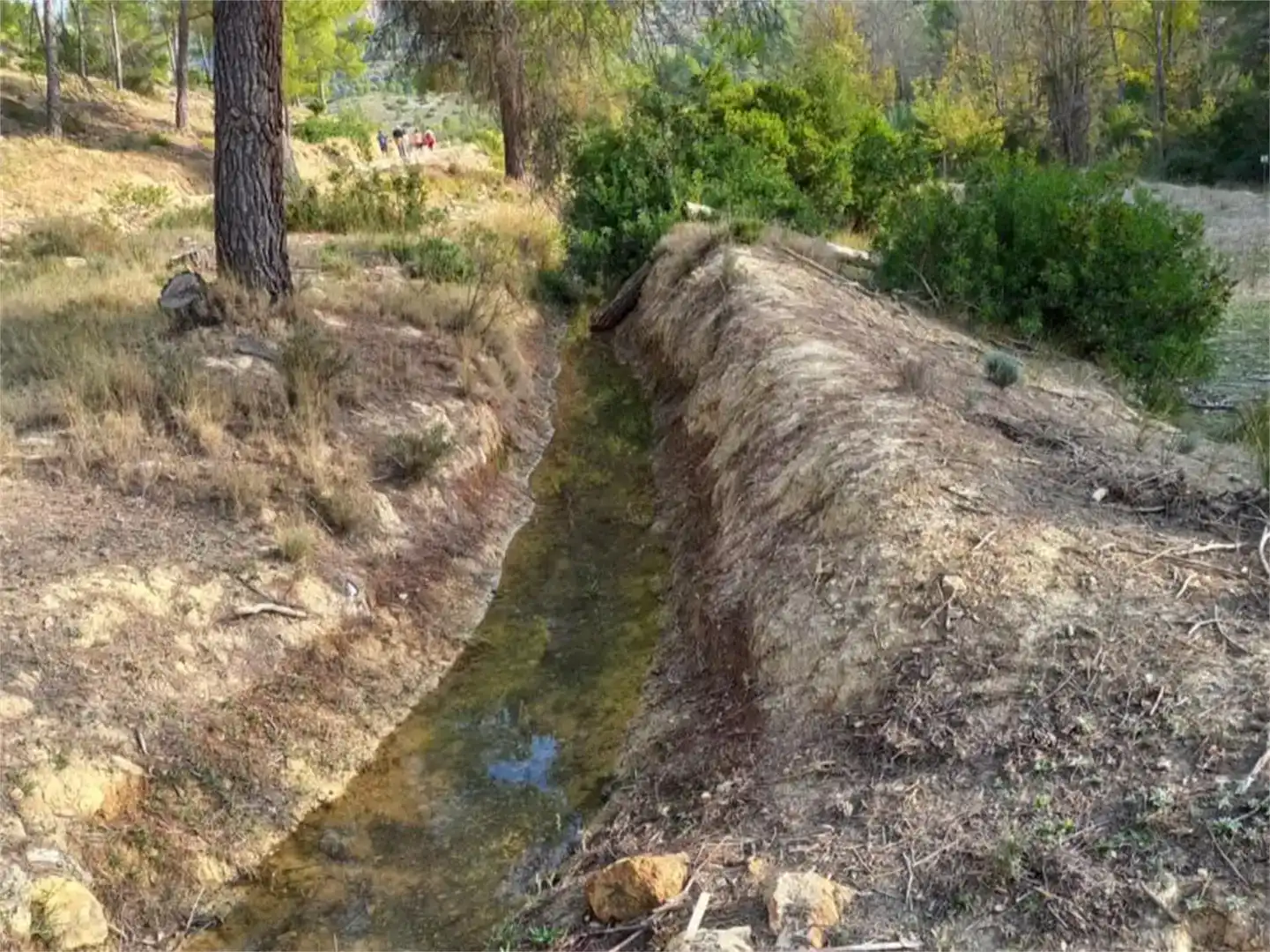 Jardín de Terreno en venta en Letur