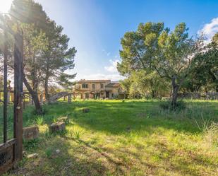 Jardí de Finca rústica en venda en Alaró amb Jardí privat, Terrassa i Traster