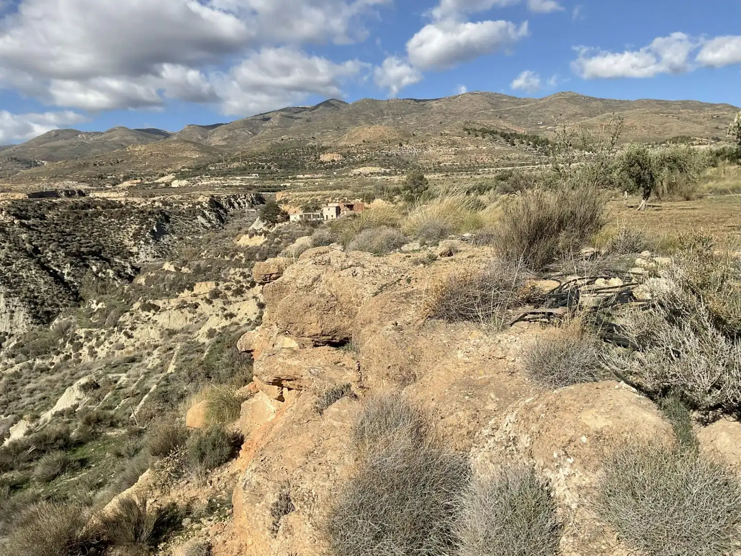 Land for sale in Padules