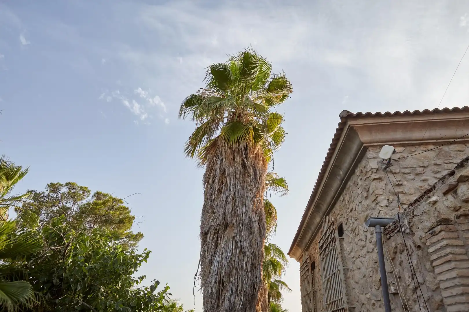 Vista exterior de Finca rústica en venta en Jaén con Aire acondicionado, Jardín privado y Terraza