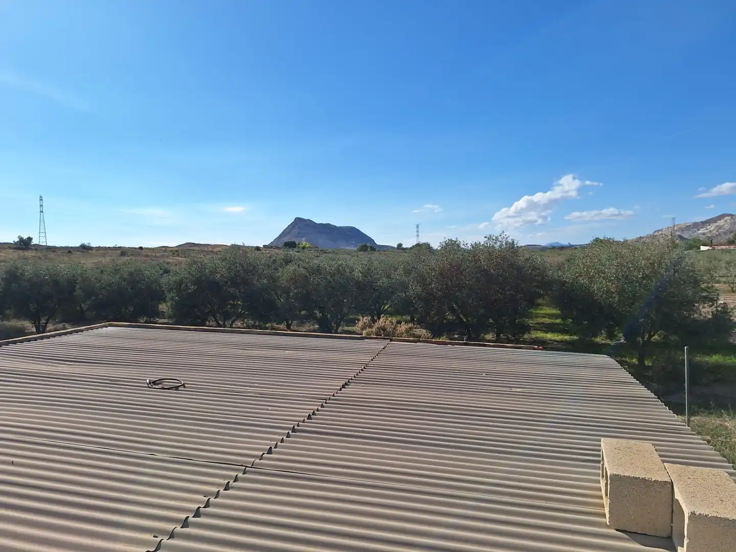 Vista exterior de Finca rústica en venta en Alicante / Alacant con Trastero