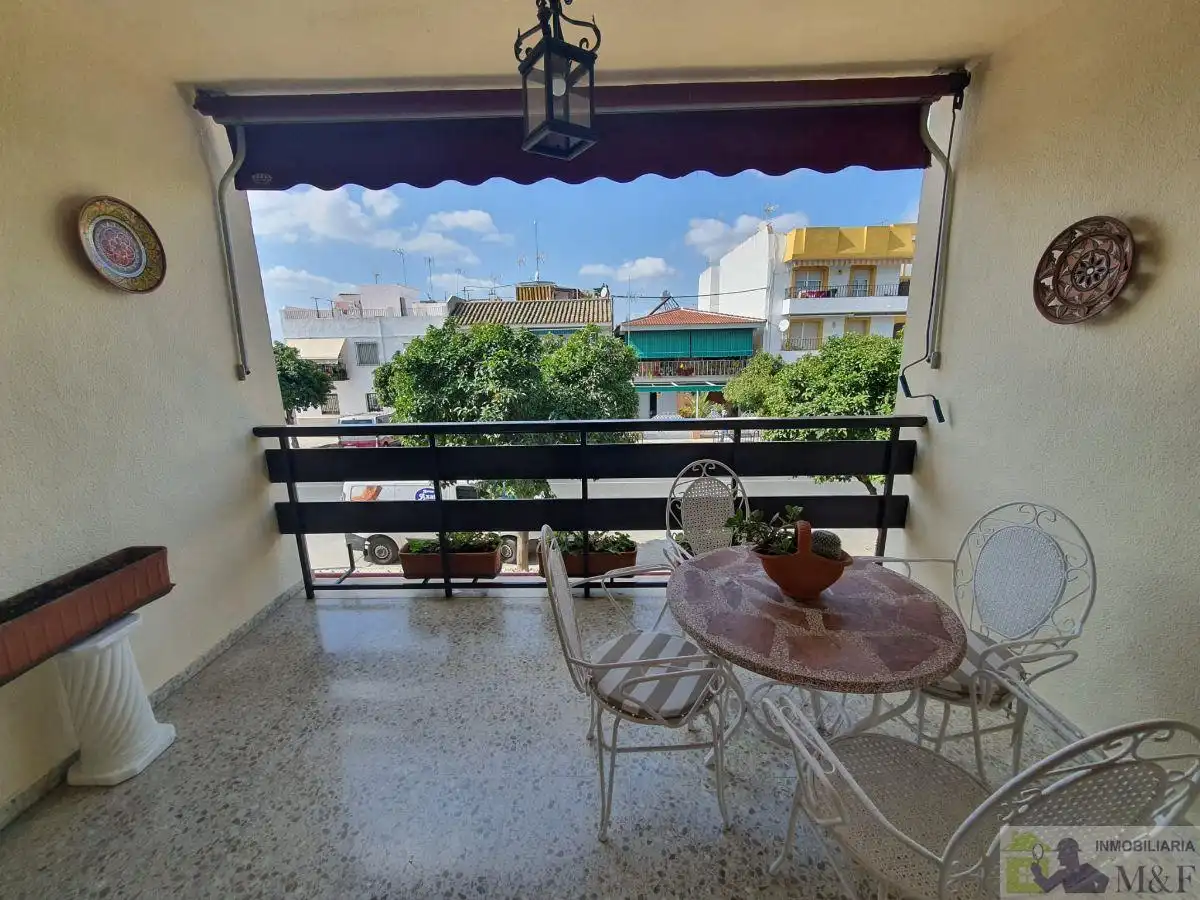 Vista exterior de Casa o chalet en venta en Palma del Río con Aire acondicionado, Calefacción y Trastero