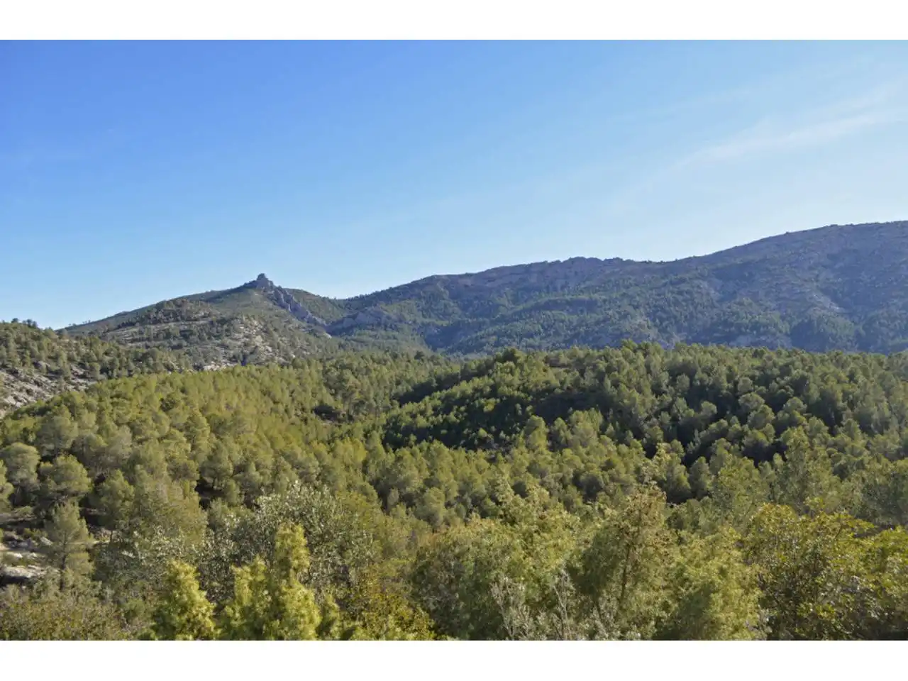 Lands and plots for sale in Pasaje Rincones y Sierra Espuña