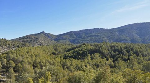 Finca rustica en venta en Paraje Rincones y Sierra EspuñaMula
