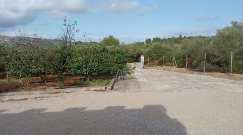Foto 5 de Finca rústica en venda a Freginals, Tarragona