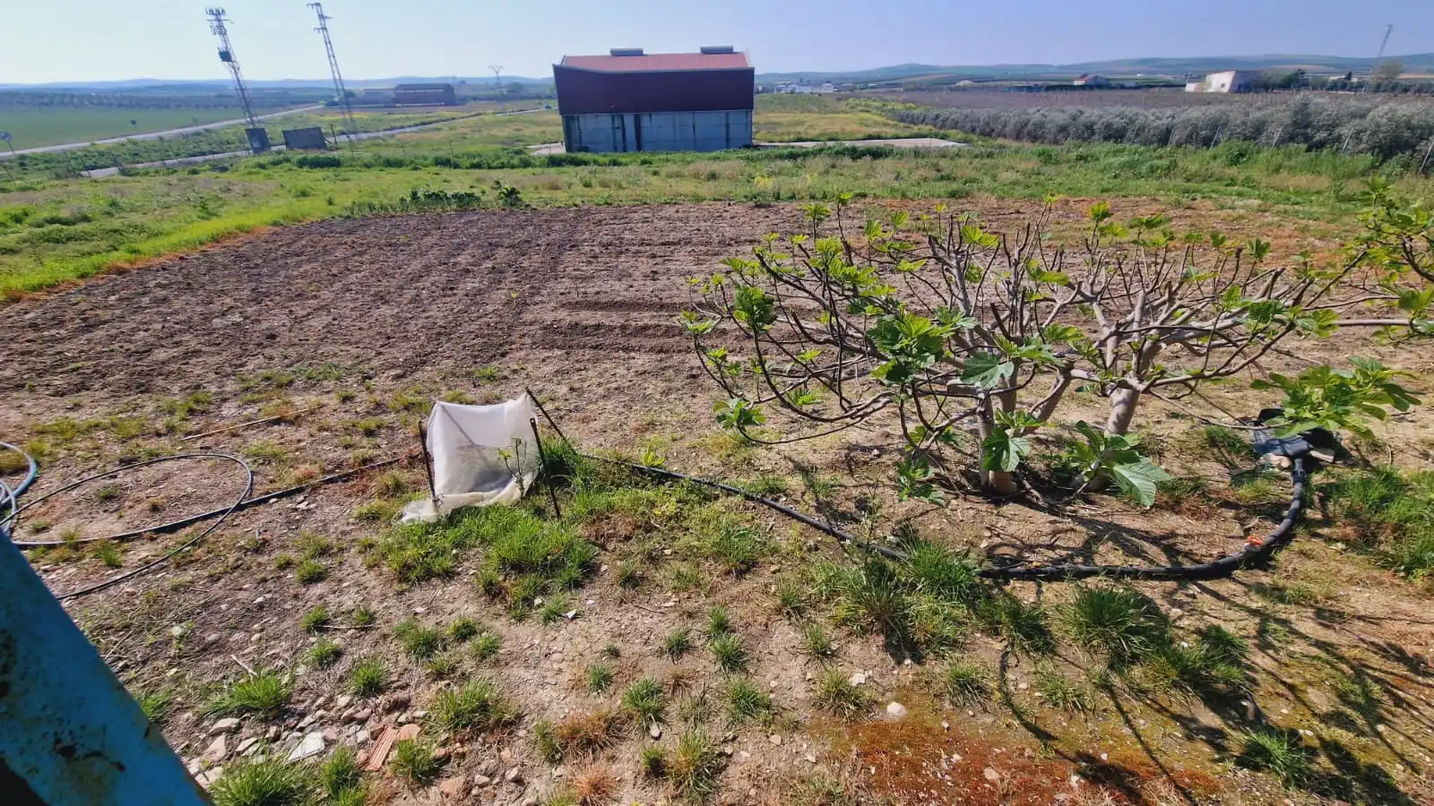 Terreno en venta en El Carpio