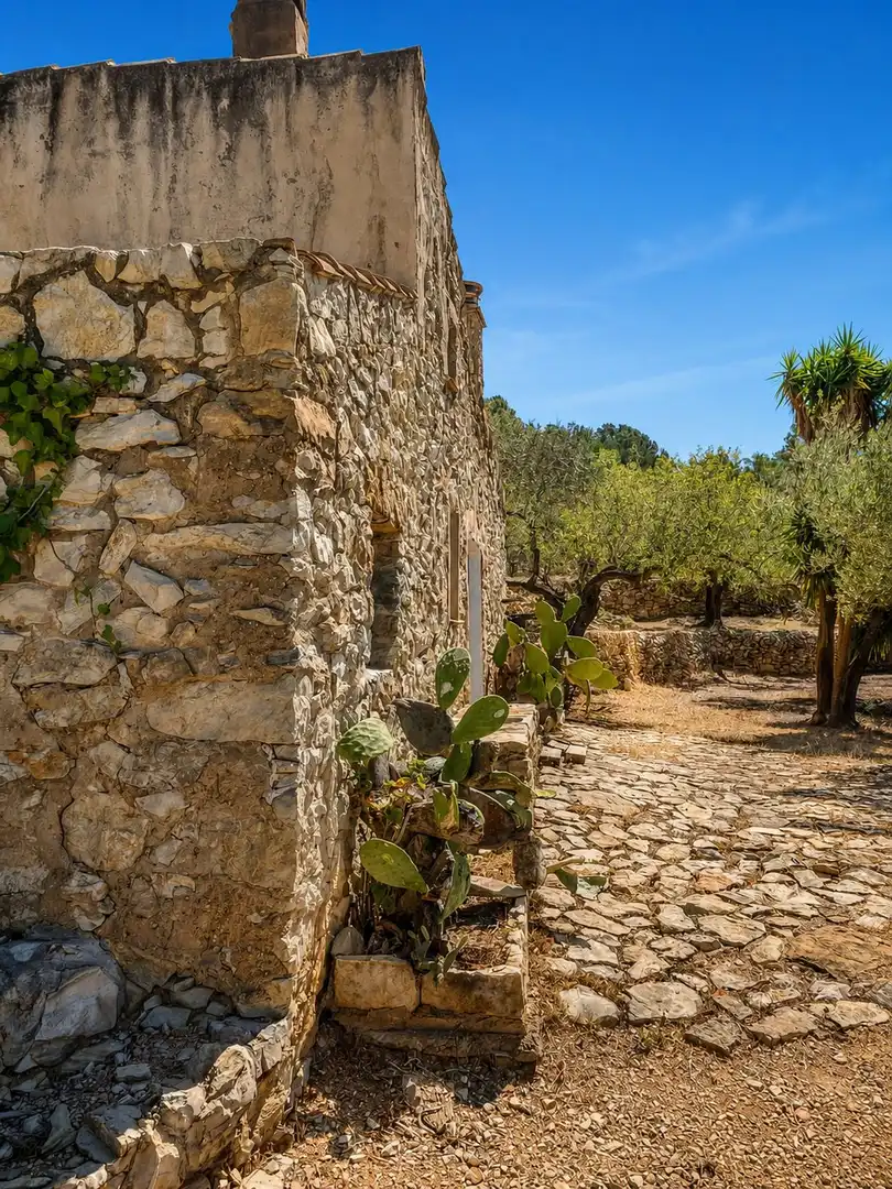 Maison rustique à vendre à El Perelló, imagen 4