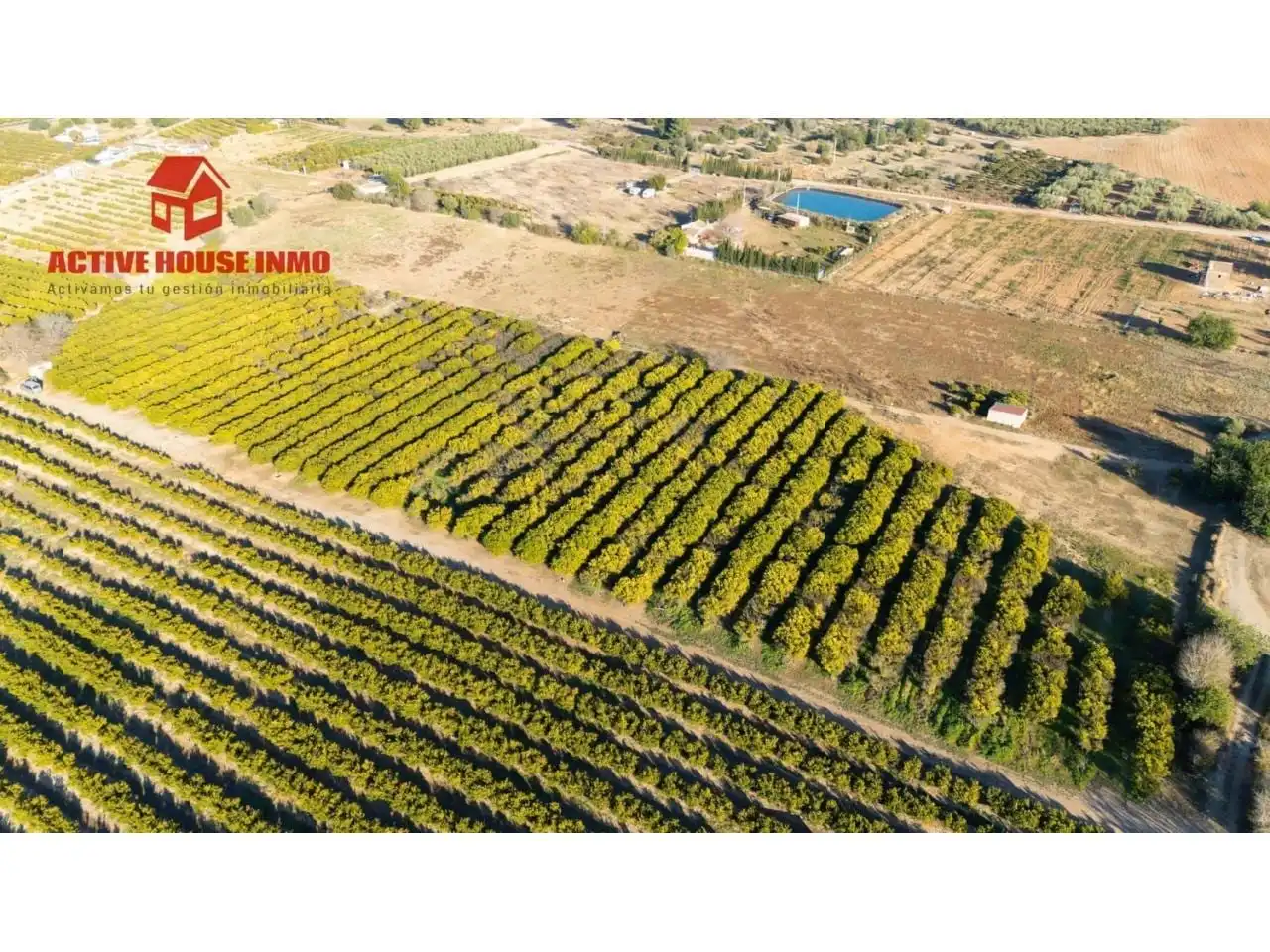 Terreno rustico in vendita a Calle Pol 12 Parc 100, imagen 12