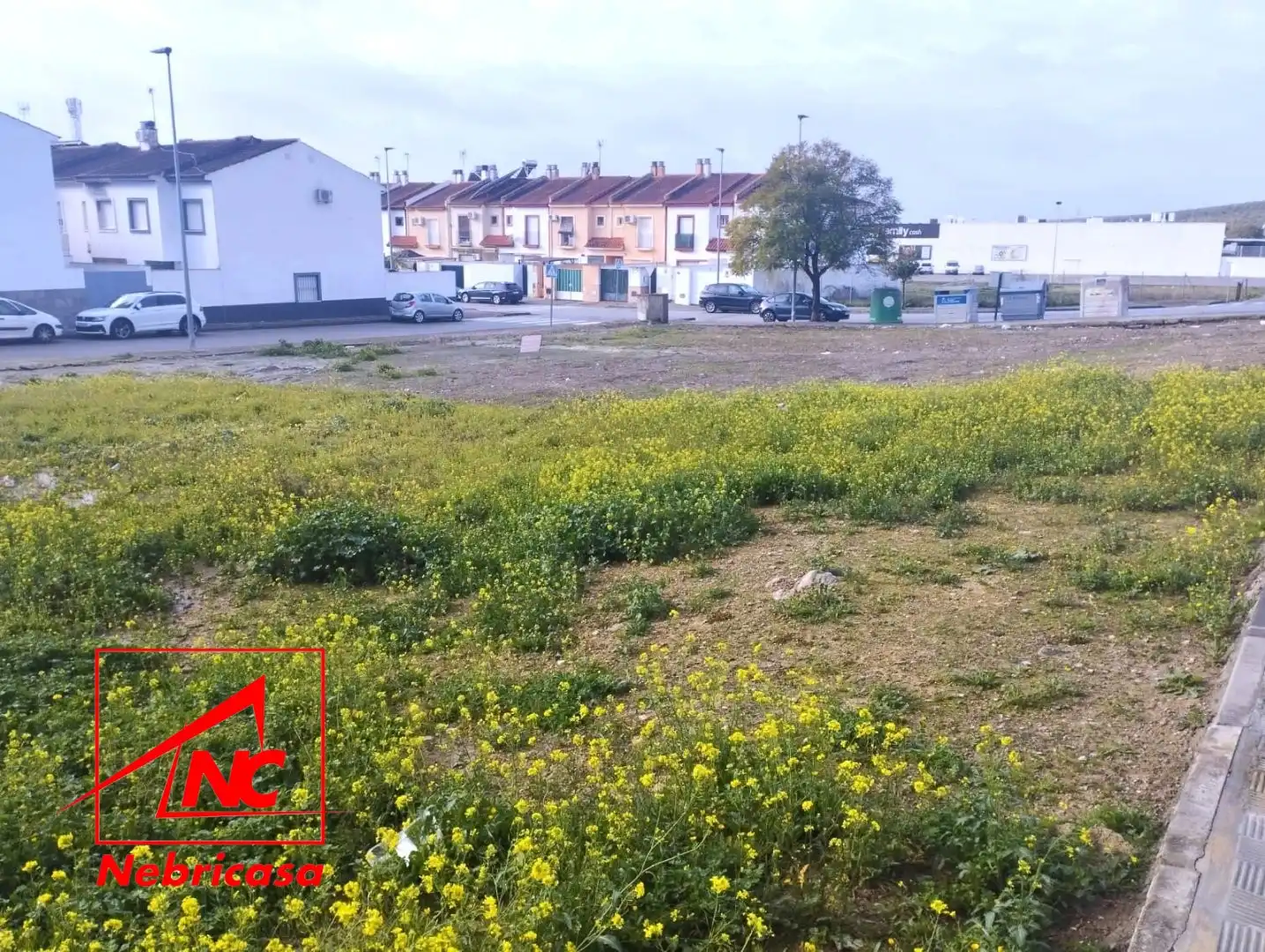 Lands and plots for sale in Lebrija, imagen 6