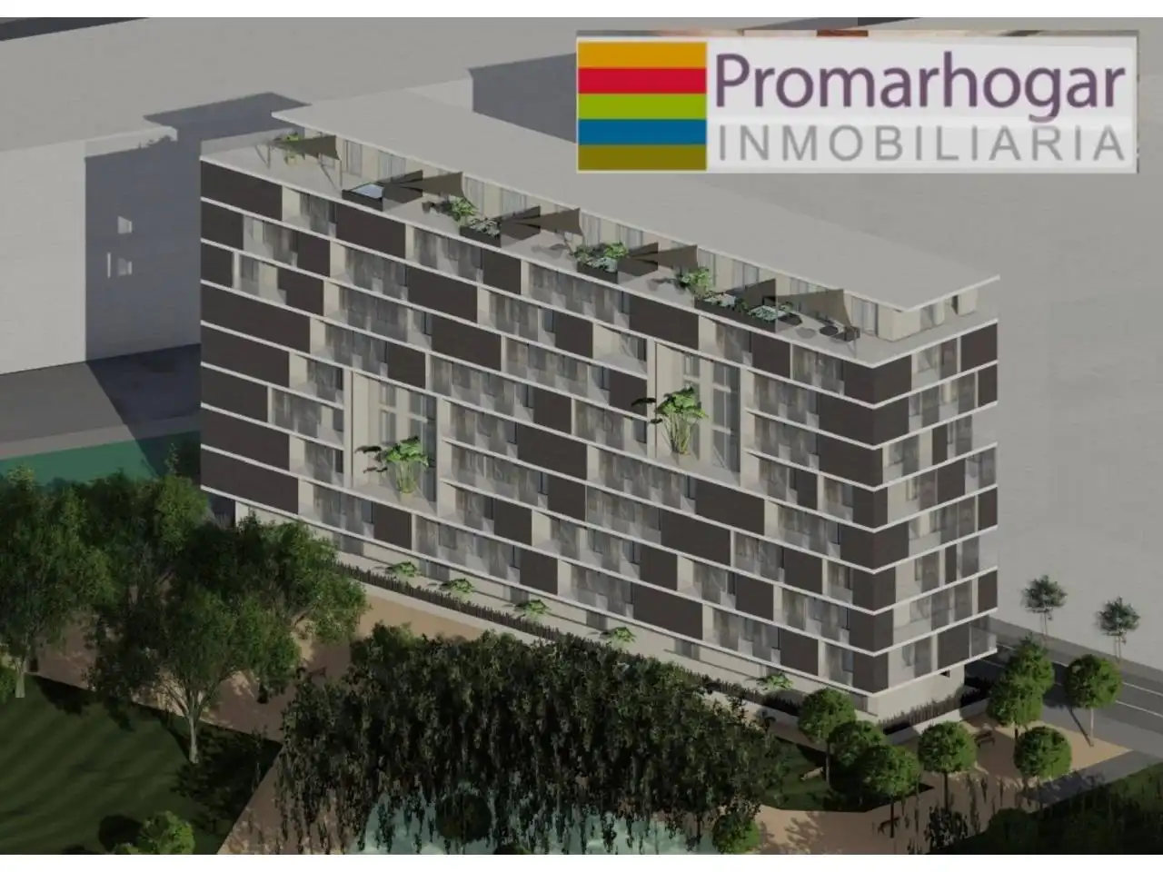 Rural land for sale in Calle Limonar